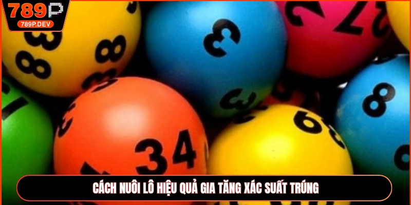 Cách nuôi lô hiệu quả gia tăng xác suất trúng