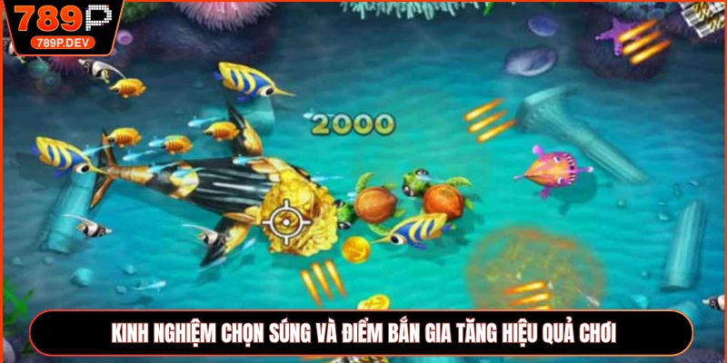 Kinh nghiệm chọn súng và điểm bắn gia tăng hiệu quả chơi