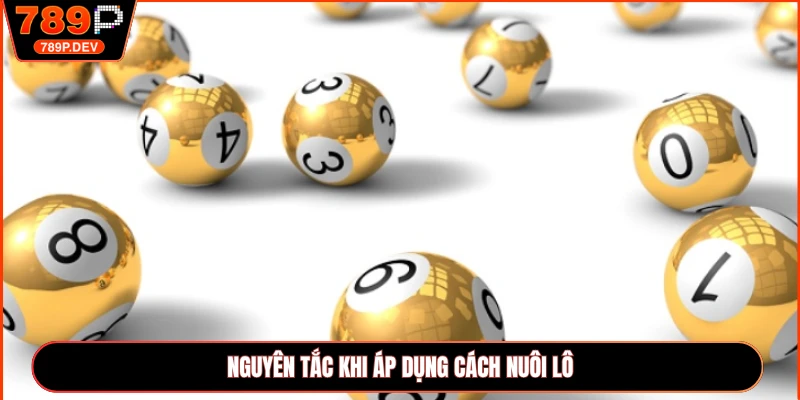 Nguyên tắc khi áp dụng cách nuôi lô